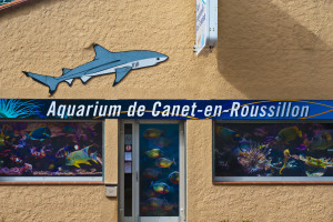 аквариум Канэ