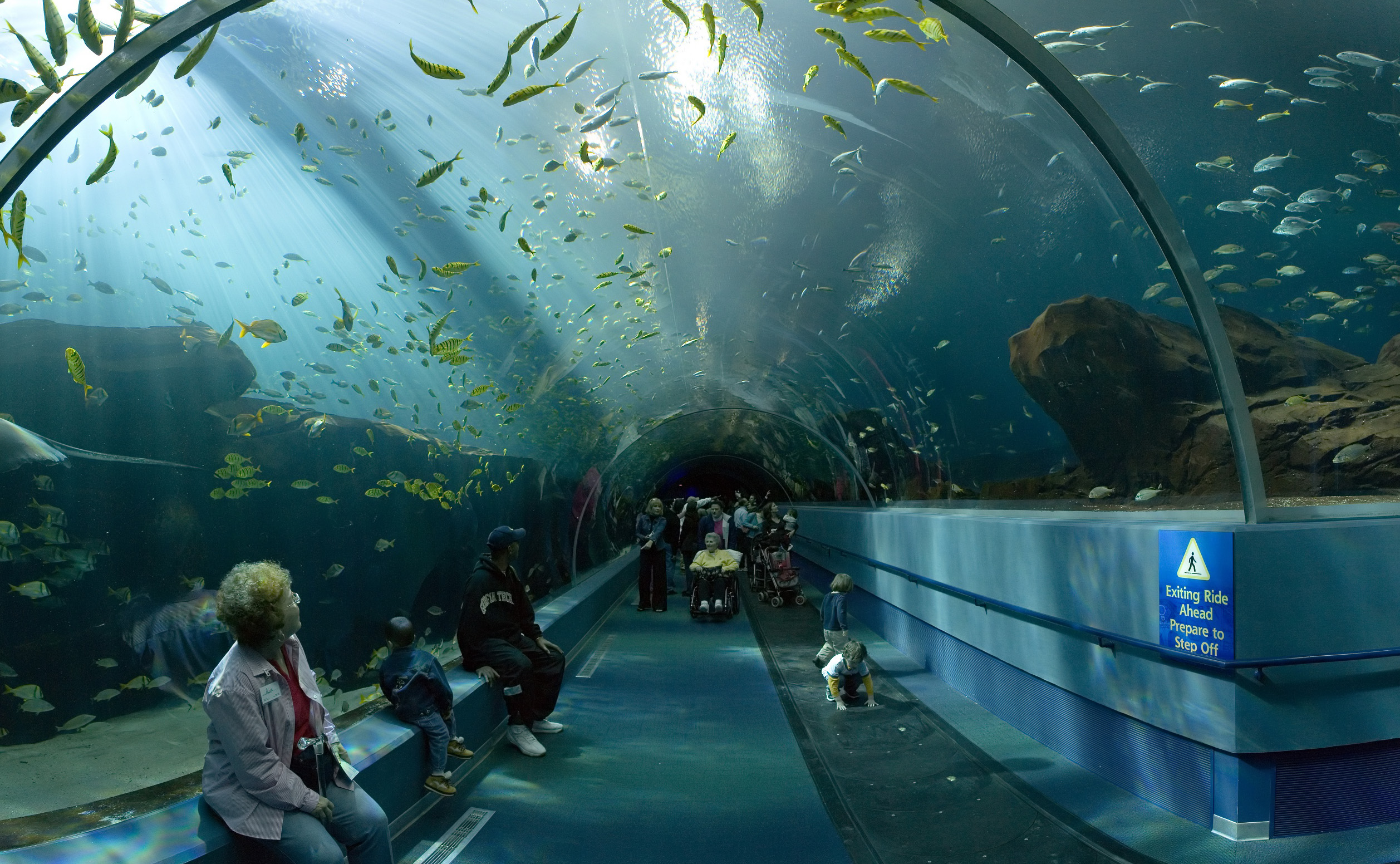 аквариум в париже